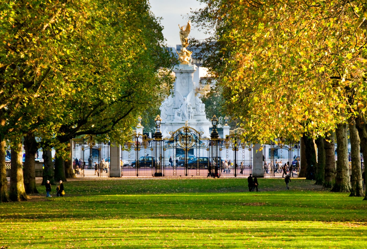 buckingham palace